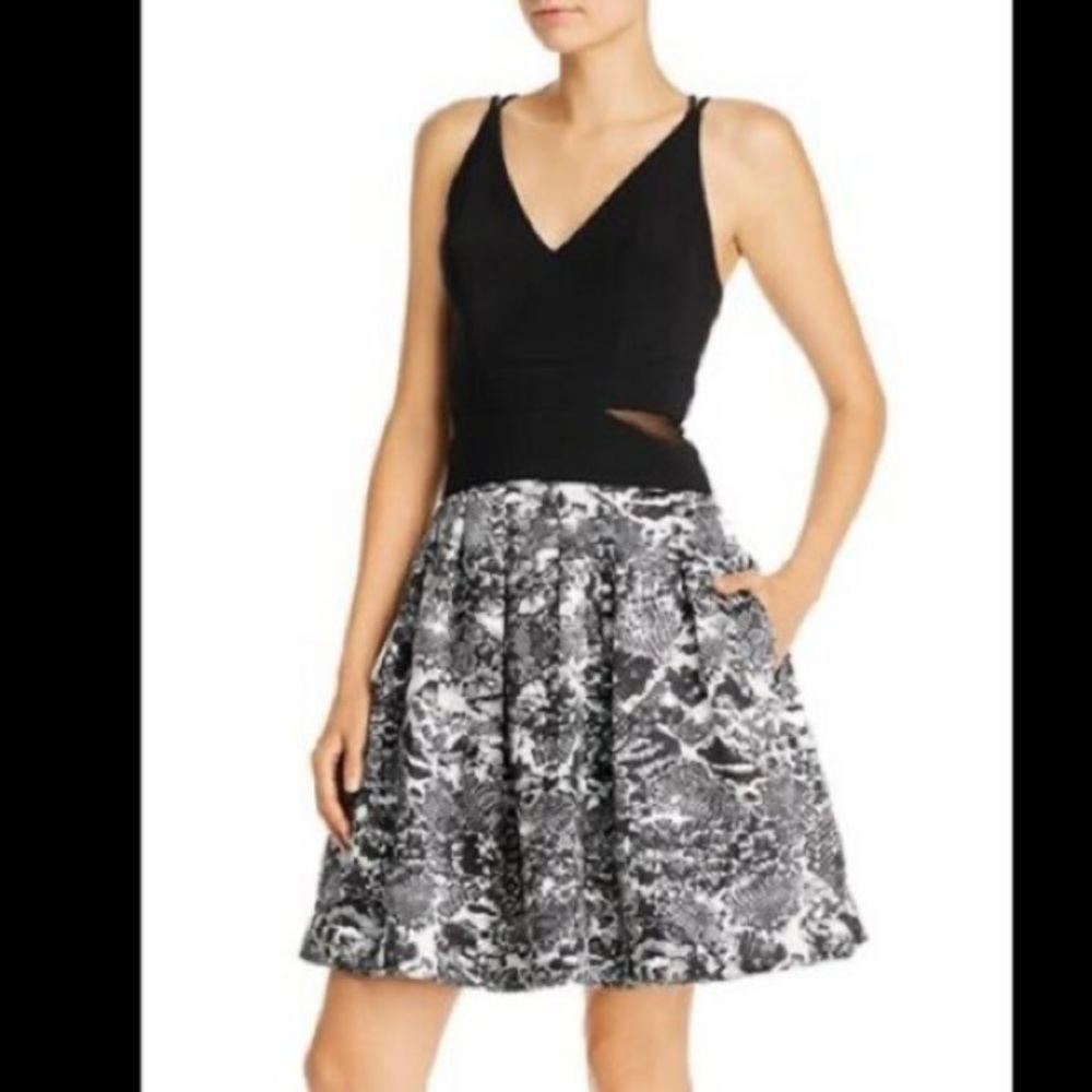 Aqua Snakeskin Combo Fit and Flare Dress